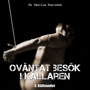 Oväntat besök i källaren (e-bok) av E. Källvand