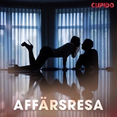 Affärsresa