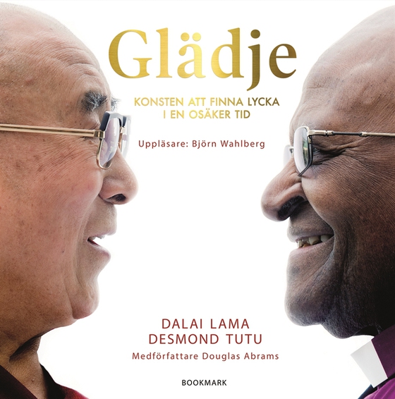 Glädje: Konsten att finna lycka i en osäker tid