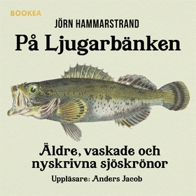 På ljugarbänken (ljudbok) av Jörn Hammarstrand