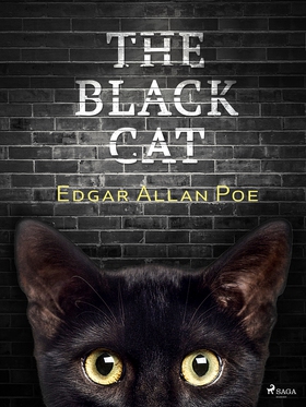 The Black Cat (e-bok) av Edgar Allan Poe