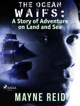 The Ocean Waifs: A Story of Adventure on Land a