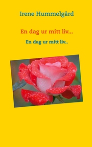 En dag ur mitt liv...: En dag ur mitt liv.. (e-