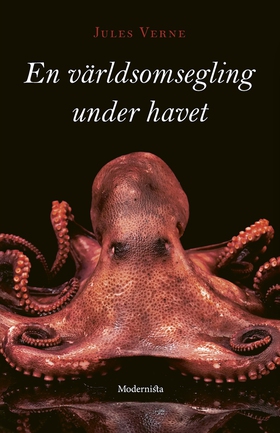 En världsomsegling under havet (e-bok) av Jules