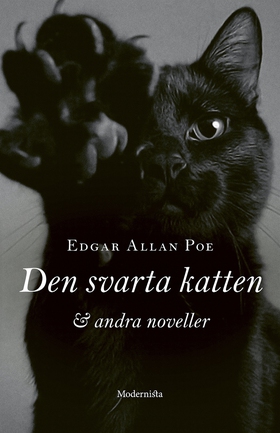 Den svarta katten och andra noveller (e-bok) av