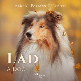 Lad: A Dog (ljudbok) av Albert Payson Terhune