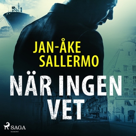 När ingen vet (ljudbok) av Jan-Åke Sallermo