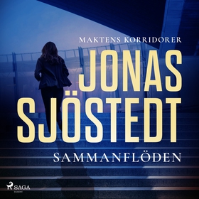 Sammanflöden (ljudbok) av Jonas Sjöstedt