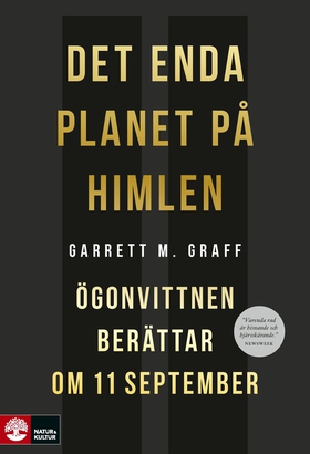 Det enda planet på himlen : ögonvittnen berätta