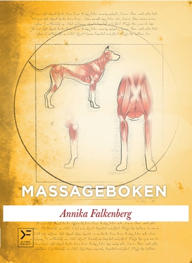 Massageboken (e-bok) av Annika Falkenberg