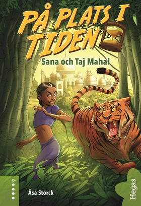 Sana och Taj Mahal (e-bok) av Åsa Storck