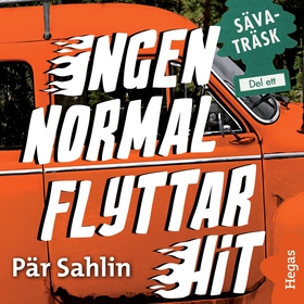 Ingen normal flyttar hit (ljudbok) av Pär Sahli