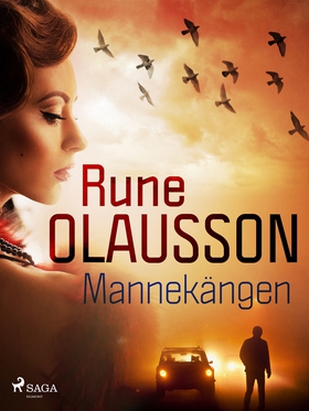 Mannekängen (e-bok) av Rune Olausson