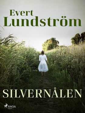 Silvernålen (e-bok) av Evert Lundström