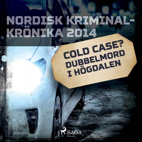 Cold case? Dubbelmord i Högdalen (ljudbok) av D