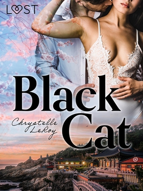 Black Cat - Erotic short story (e-bok) av Chrys