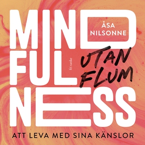 Mindfulness utan flum: Att leva med sina känslo