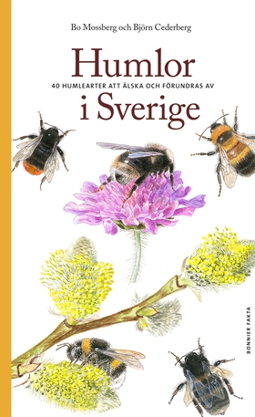 Humlor i Sverige : 40 arter att älska och förun