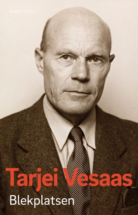 Blekplatsen (e-bok) av Tarjei Vesaas