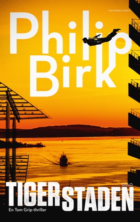 Tigerstaden (e-bok) av Philip Birk