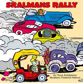 Skalmans rally (ljudbok) av Rune Andréasson