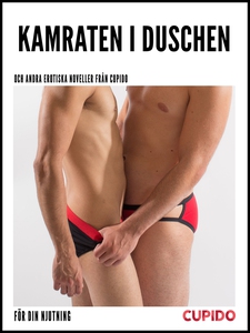 Kamraten i duschen - och andra erotiska novelle