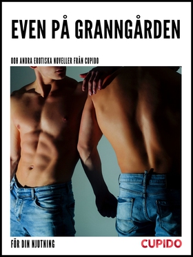 Even på granngården - Och andra erotiska novell