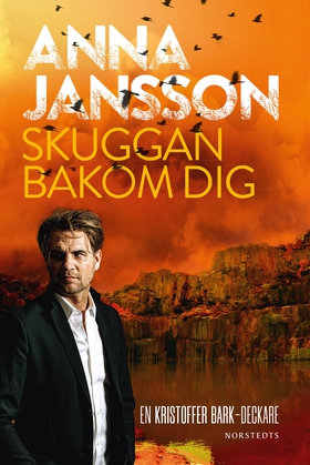 Skuggan bakom dig (e-bok) av Anna Jansson