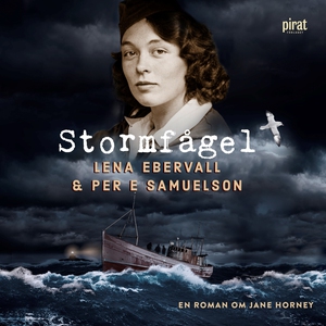 Stormfågel (ljudbok) av Lena Ebervall, Per E Sa