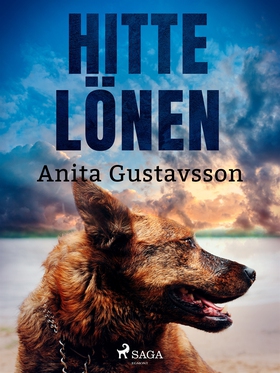 Hittelönen (e-bok) av Anita Gustavsson