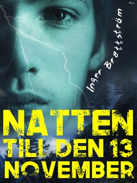 Natten till den 13 november (e-bok) av Inger Br