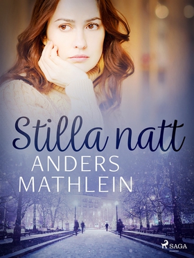 Stilla natt (e-bok) av Anders Mathlein
