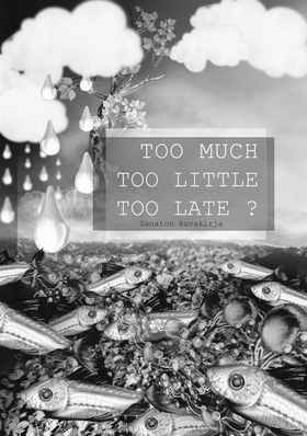 Too Much Too Little Too Late ?: Sanaton kuvakir