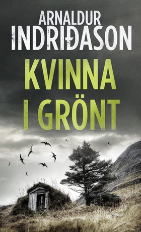 Kvinna i grönt (e-bok) av Arnaldur Indridason