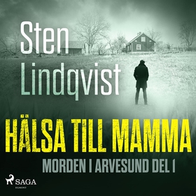 Hälsa till mamma (ljudbok) av Sten Lindqvist