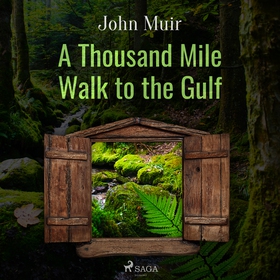 A Thousand Mile Walk to the Gulf (ljudbok) av J