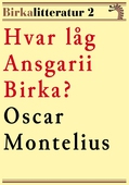 Hvar låg Ansgarii Birka? Birkalitteratur nr 2. Återutgivning av text från 1872