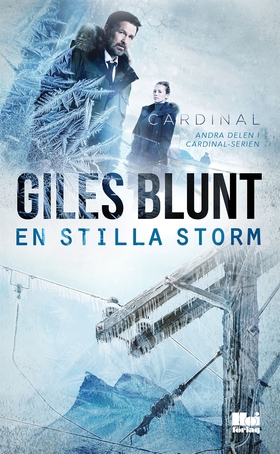 En stilla storm (e-bok) av Giles Blunt