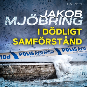 I dödligt samförstånd (ljudbok) av Jakob Mjöbri