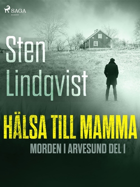 Hälsa till mamma (e-bok) av Sten Lindqvist
