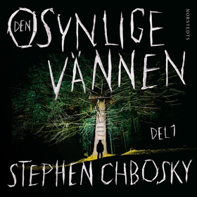 Den osynlige vännen. Del 1 (ljudbok) av Stephen