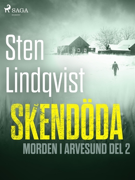 Skendöda (e-bok) av Sten Lindqvist