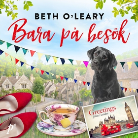 Bara på besök (ljudbok) av Beth O'Leary