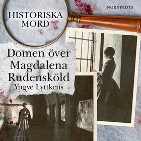 Domen över Magdalena Rudensköld : Historiska mo