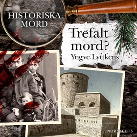 Trefalt mord? : Historiska mord del 7 (ljudbok)