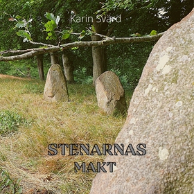 Stenarnas makt (ljudbok) av Karin Svärd