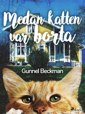 Medan katten var borta (e-bok) av Gunnel Beckma