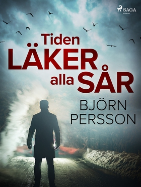 Tiden läker alla sår (e-bok) av Björn Persson