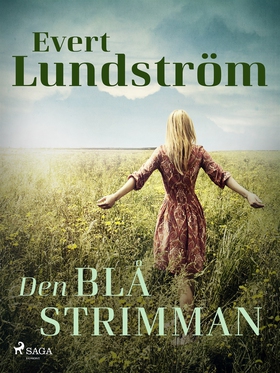 Den blå strimman (e-bok) av Evert Lundström