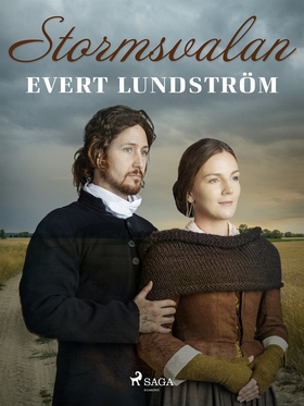 Stormsvalan (e-bok) av Evert Lundström